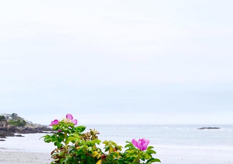 YORK, ME GUIDE - Seacoast Lately