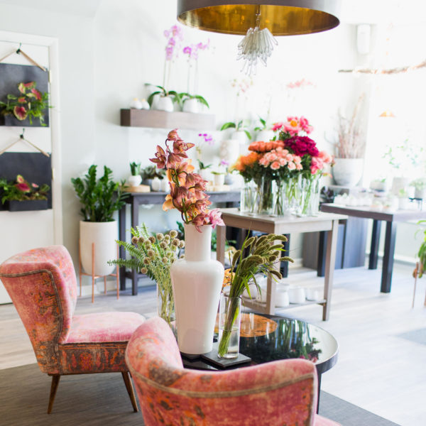 SEACOAST FLOWER SHOP, PLANTS + GARDEN GUIDE | NH + MAINE