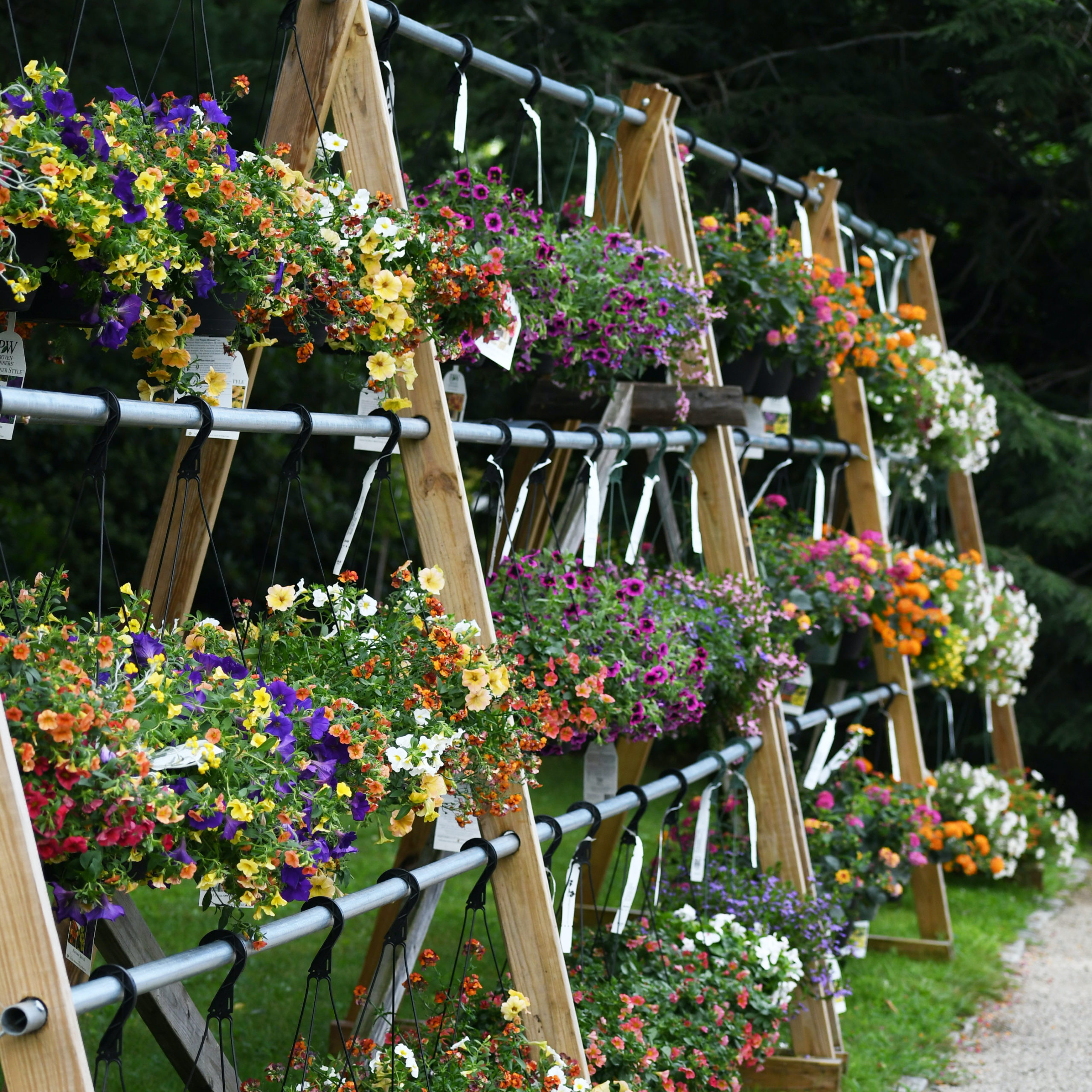 WHAT TO DO IN GREENLAND AND STRATHAM NEW HAMPSHIRE