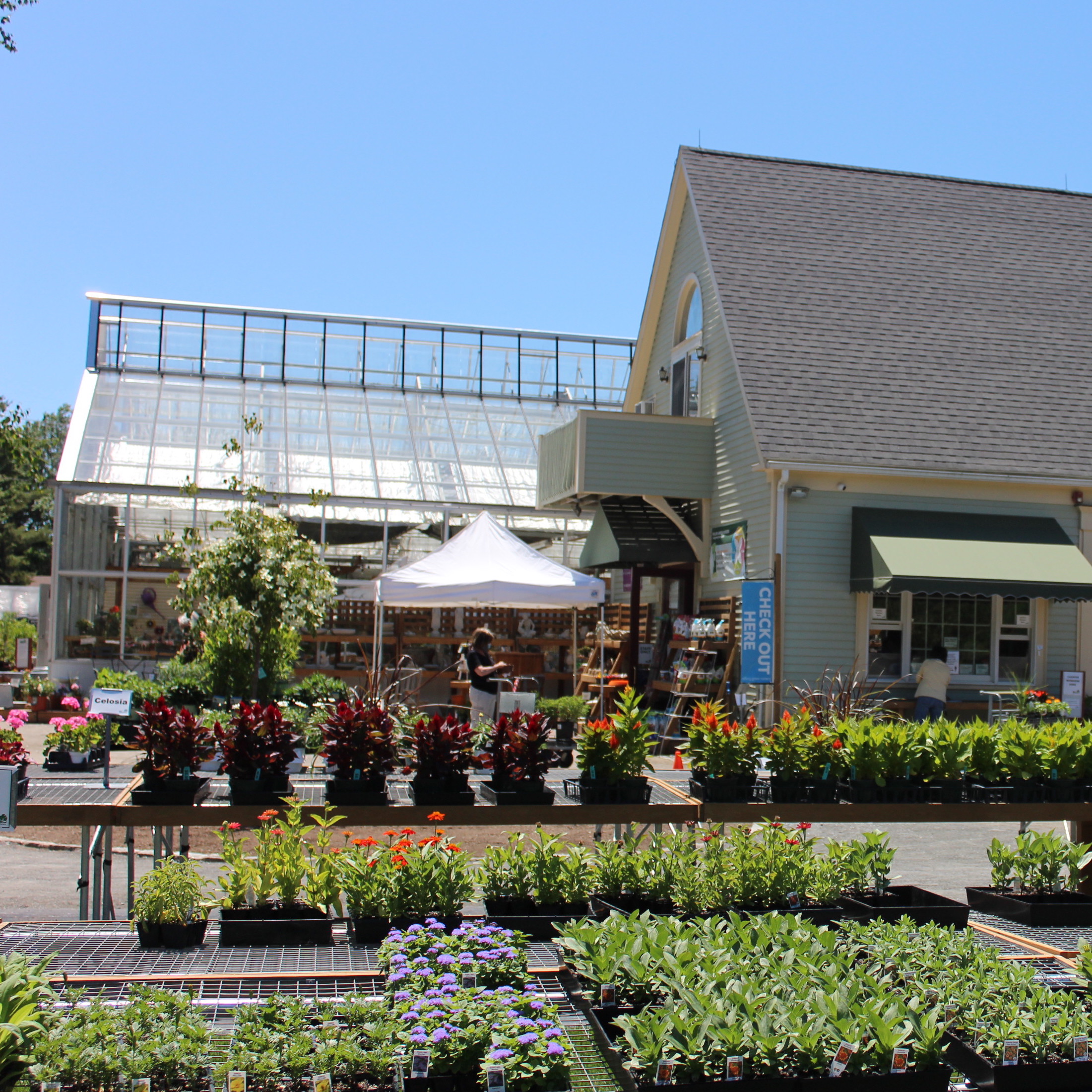 Seacoast Floral And Garden Guide SEACOAST LATELY