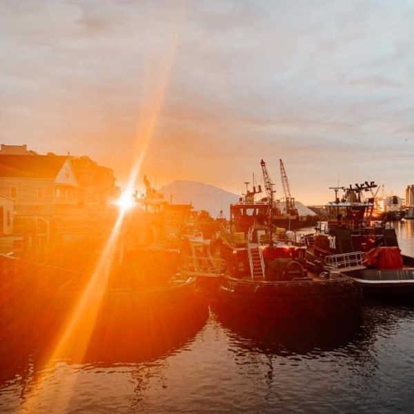 OUTDOOR DINING GUIDE! Seacoast Lately