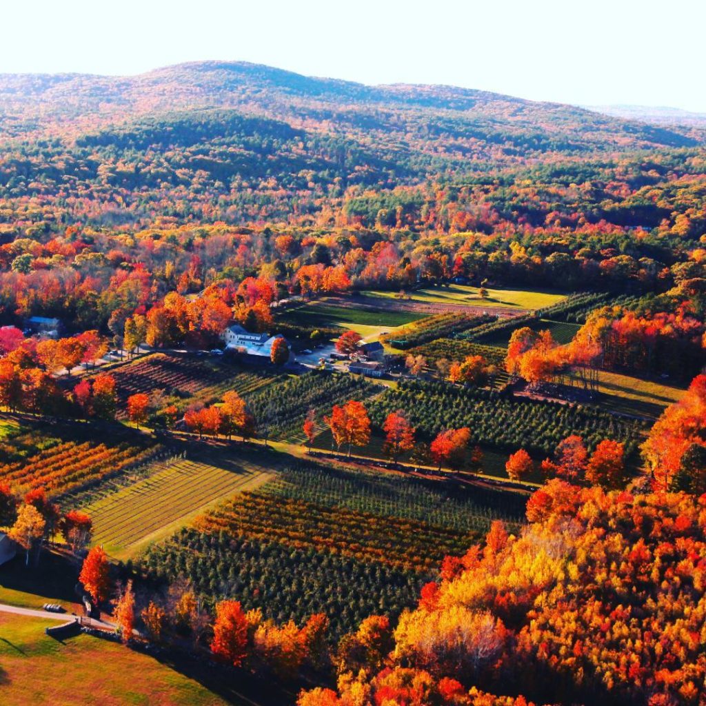 Butternut Farm NH