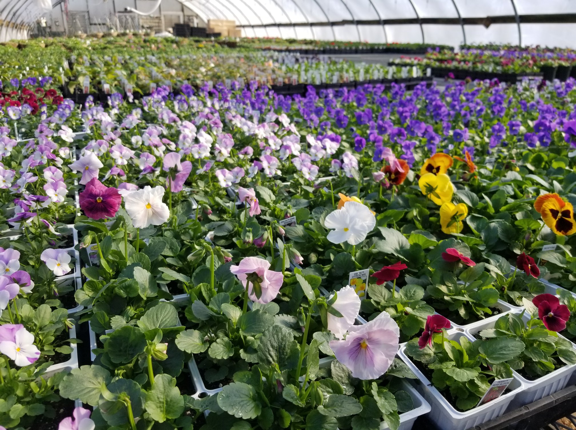 SHOPPING EXETER, NEW HAMPSHIRE SEACOAST LATELY