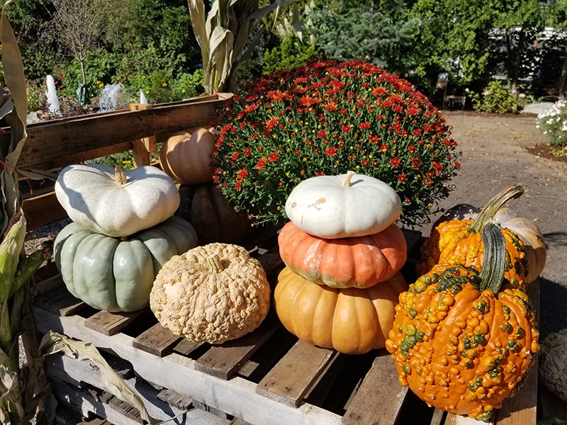 SHOPPING EXETER, NEW HAMPSHIRE SEACOAST LATELY