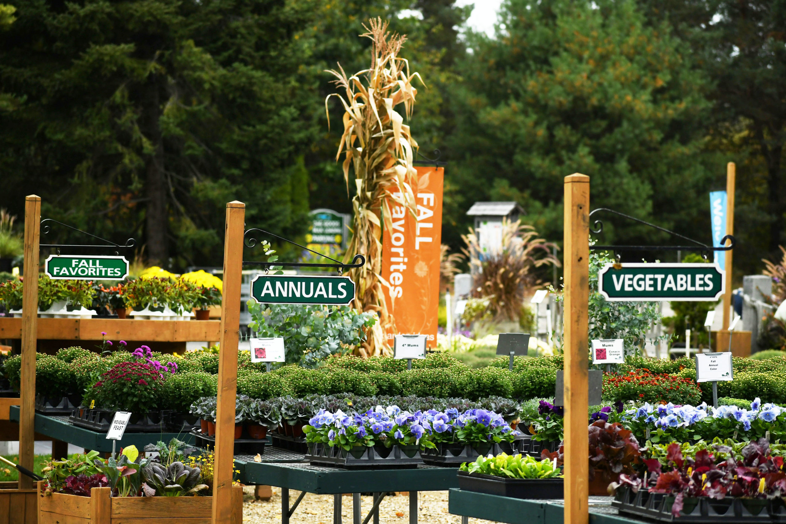 WHAT TO DO IN GREENLAND AND STRATHAM NEW HAMPSHIRE