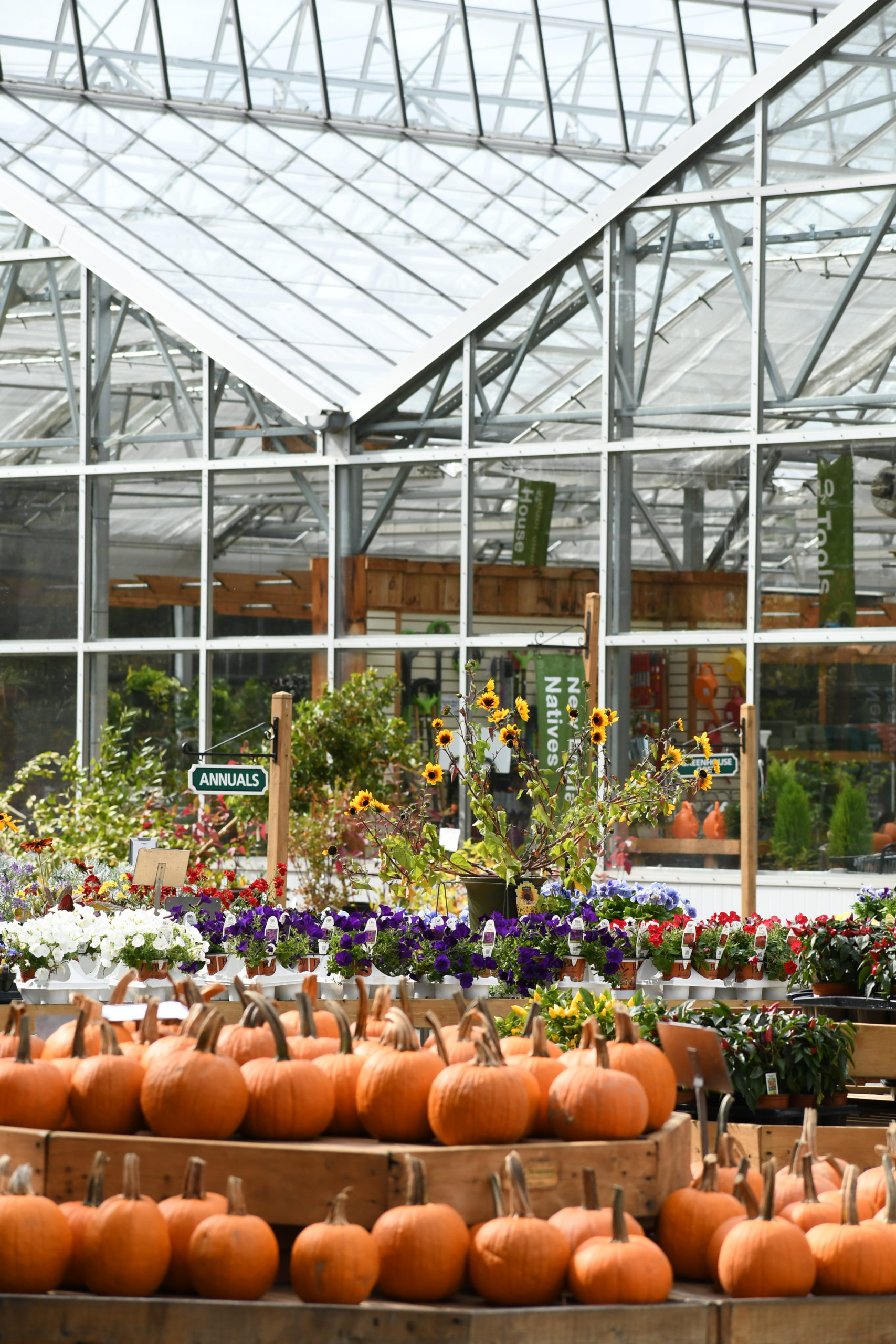 WHAT TO DO IN GREENLAND AND STRATHAM NEW HAMPSHIRE