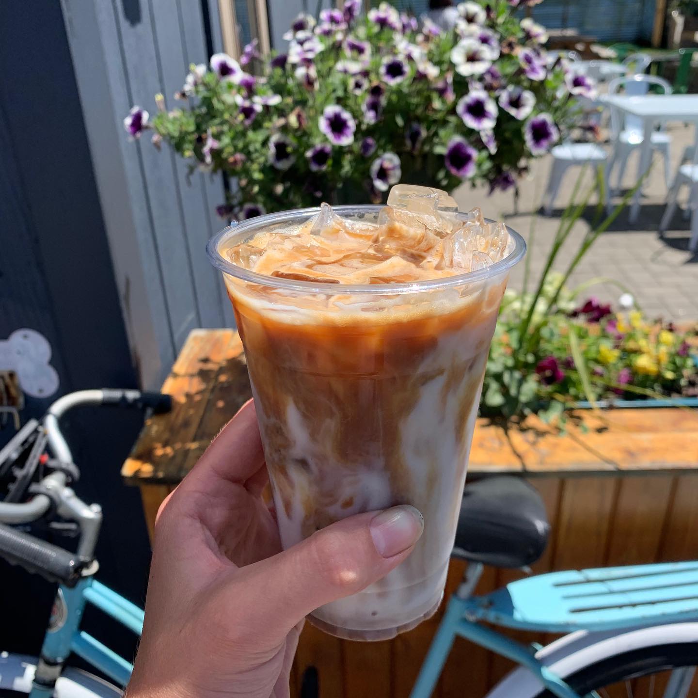 SEACOAST COFFEE GUIDE 20202021! Seacoast Lately