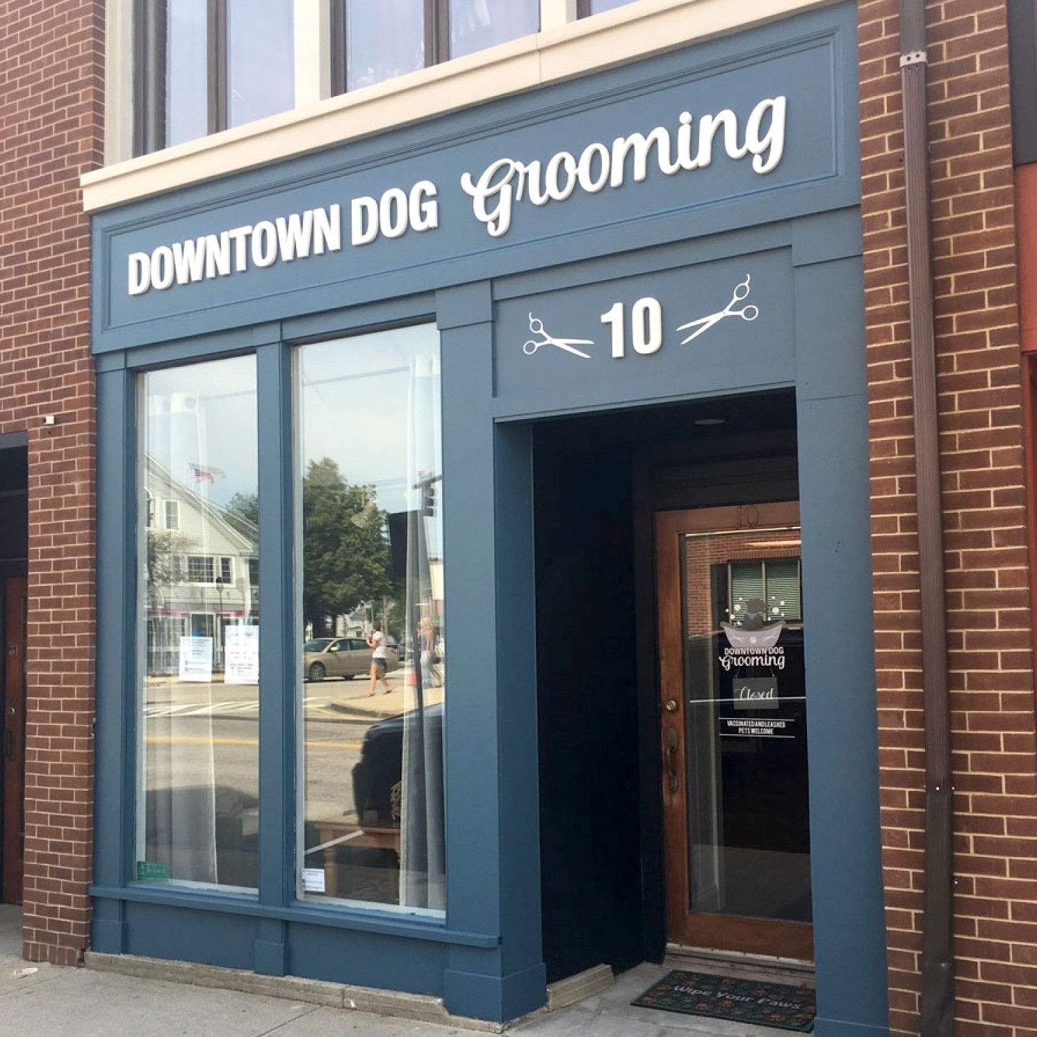 Dog getting groomed at Downtown Dog Grooming