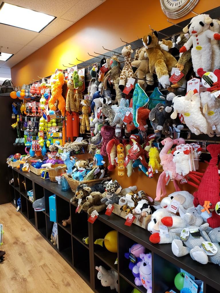 SEACOAST PET GUIDE SEACOAST LATELY PORTSMOUTH, NH