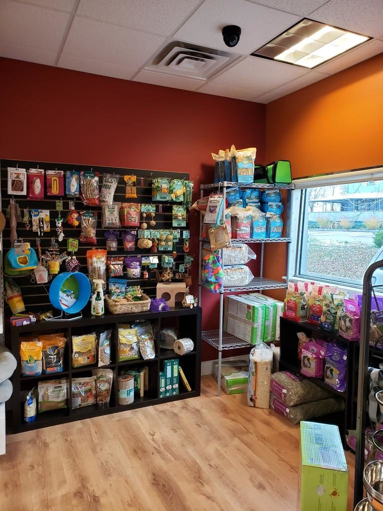 SEACOAST PET GUIDE SEACOAST LATELY PORTSMOUTH, NH