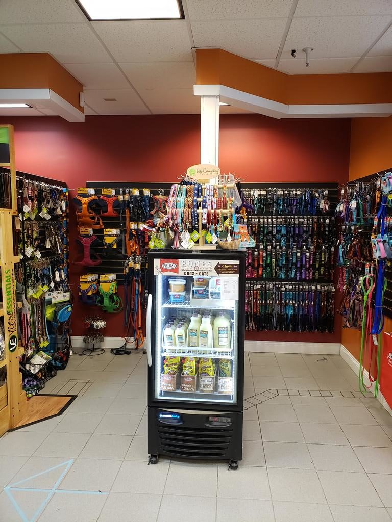 SEACOAST PET GUIDE SEACOAST LATELY PORTSMOUTH, NH