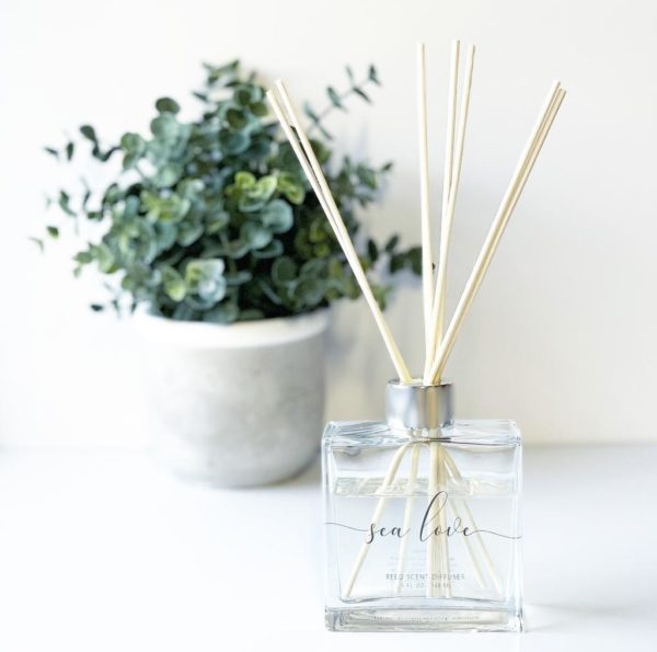 KENNEBUNK, KENNEBUNKPORT, BIDDEFORD, MAINE SHOPPING!