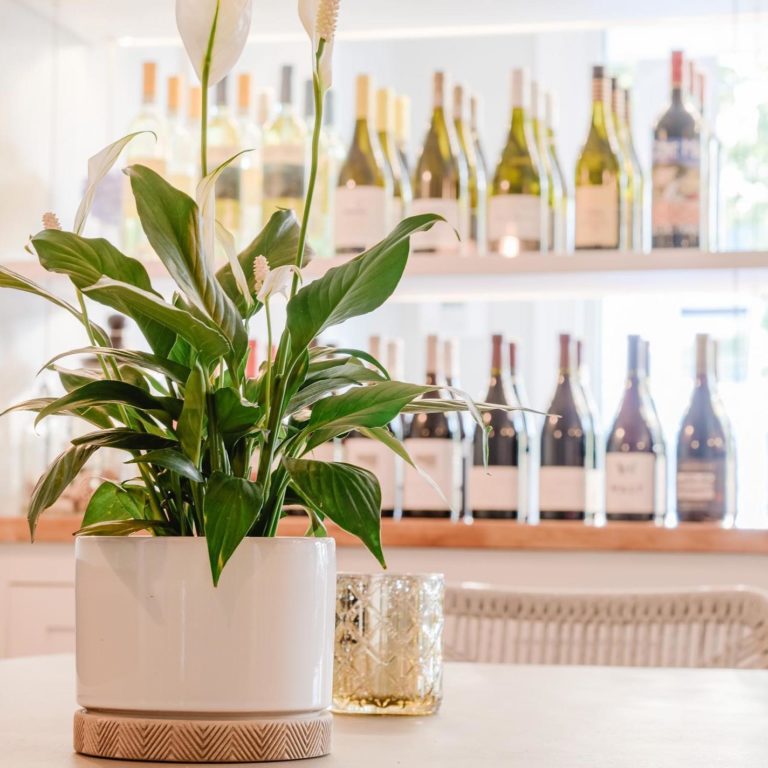 WHAT TO DO OGUNQUIT, MAINE ENTERTAINMENT + ACTIVITIES