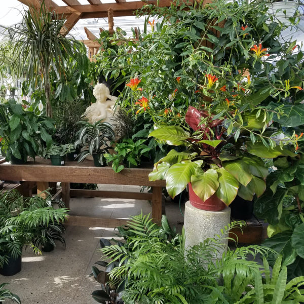 SEACOAST FLOWER SHOP, PLANTS + GARDEN GUIDE NH + MAINE