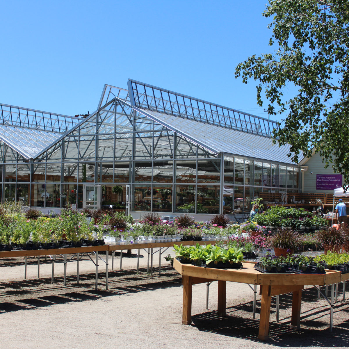 WHAT TO DO IN GREENLAND AND STRATHAM NEW HAMPSHIRE