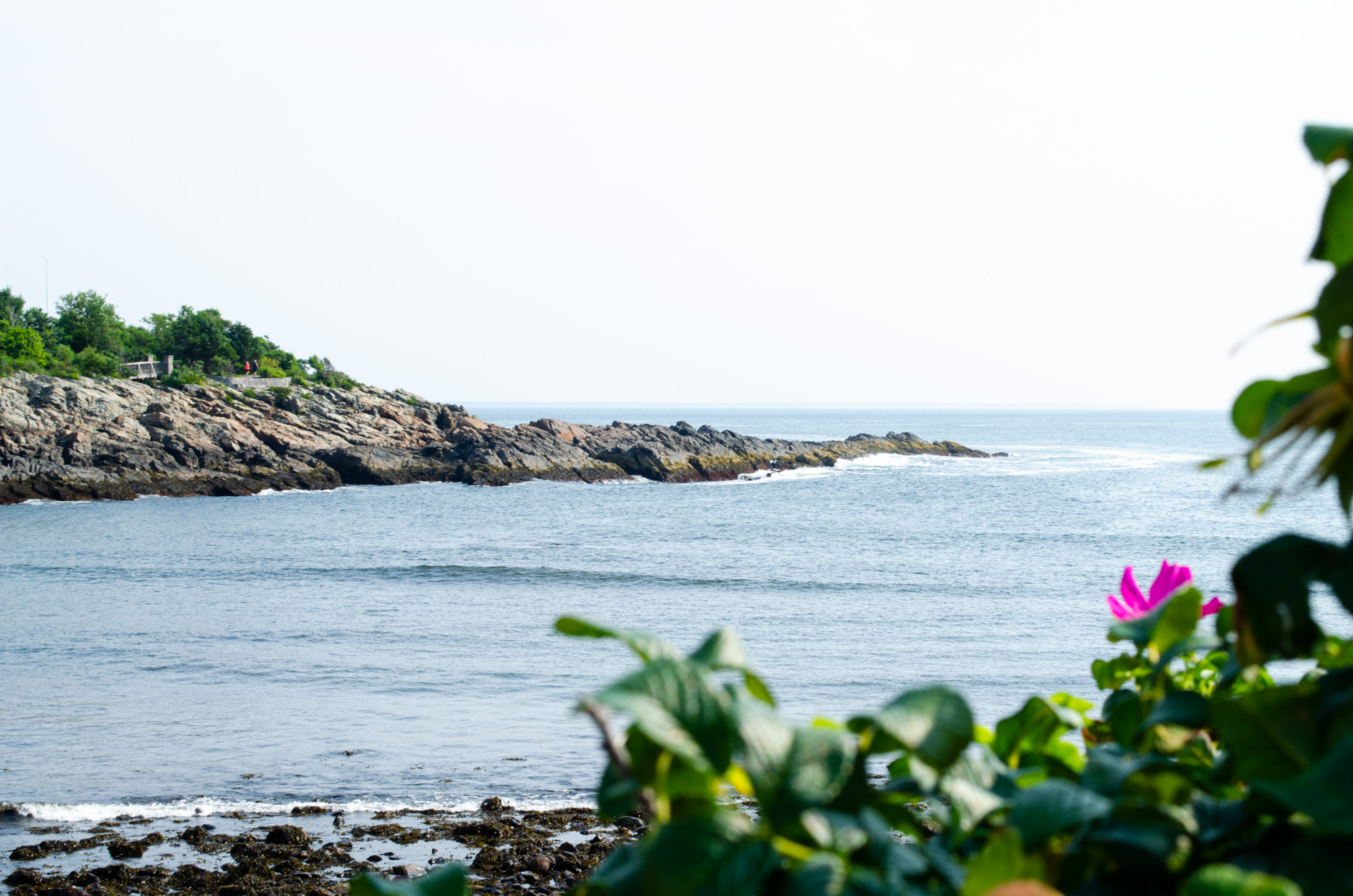 OGUNQUIT, MAINE TOWN GUIDE | SEACOAST LATELY