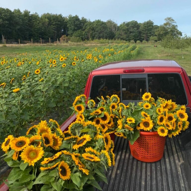 SEACOAST LATELY'S FARM GUIDE MAINE + NEW HAMPSHIRE