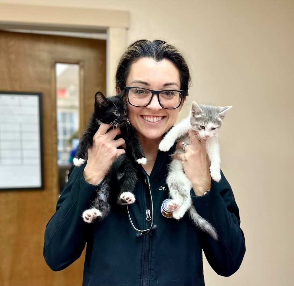 SEACOAST PET GUIDE NH, MAINE, MA