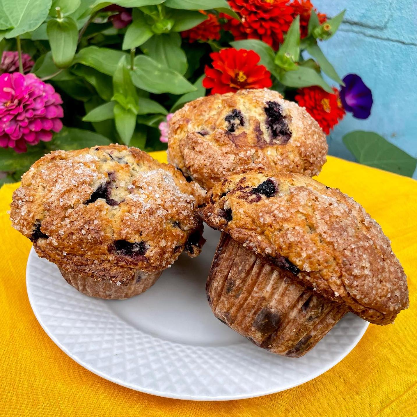 Ceres-Bakery-Portsmouth-New-Hampshire3
