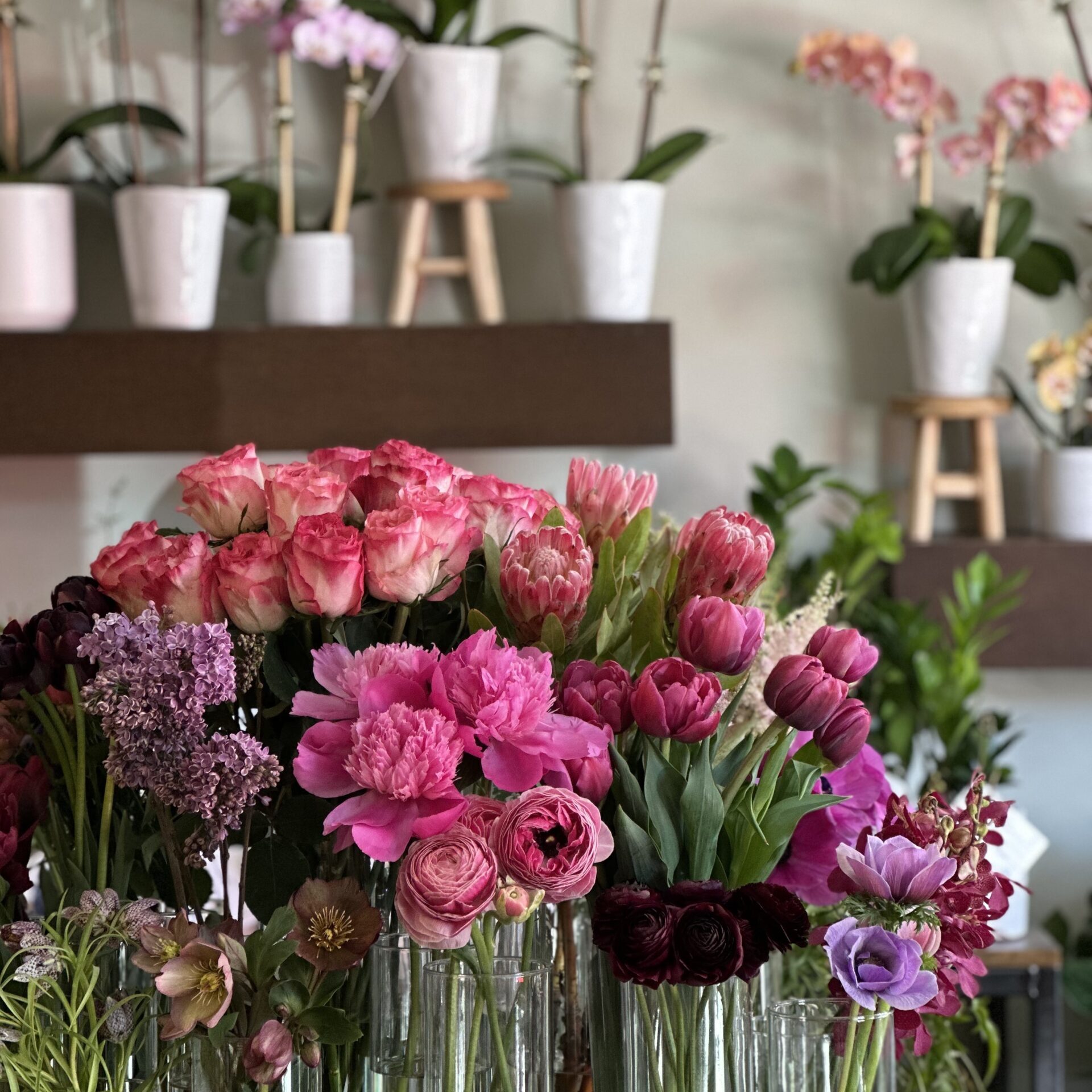 Cymbidium-Floral-Best-Florist-Shop-Exeter-New-Hampshire-1