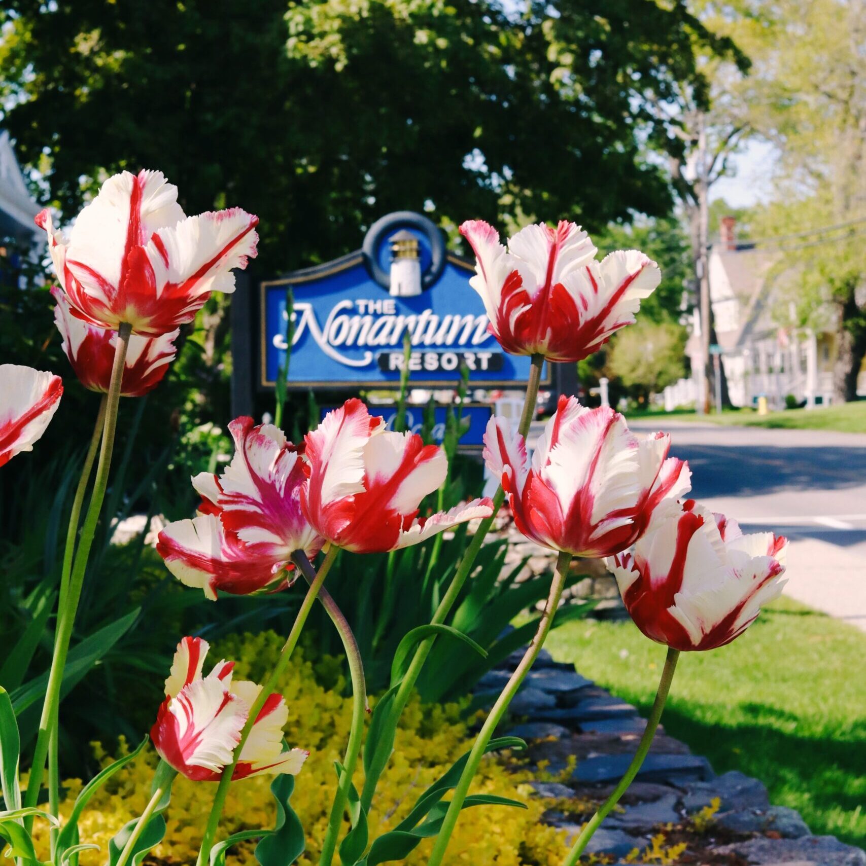 Created with RNI Films app. Profile 'Fuji Pro 160NS'