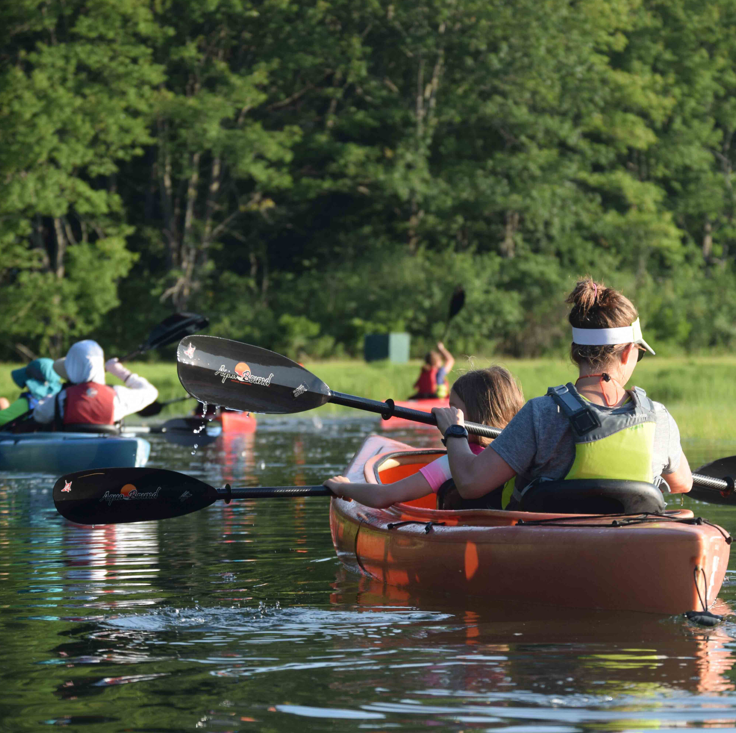 Seacoast-Science-Center-Things-To-Do-Portsmouth-Rye-New-Hampshire