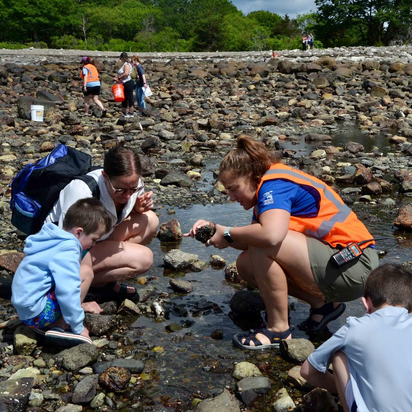 SEACOAST-SCIENCE-CENTER-BEST-THINGS-TO-DO-KIDDOS-PORTSMOUTH-NEW-HAMPSHIRE